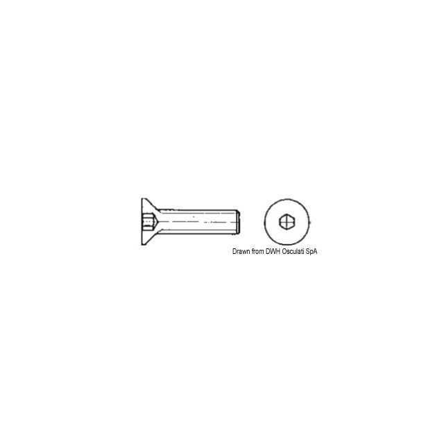 Sechschraube Innen-Sechskant 3x20 AISI 316 316.7991/3X20