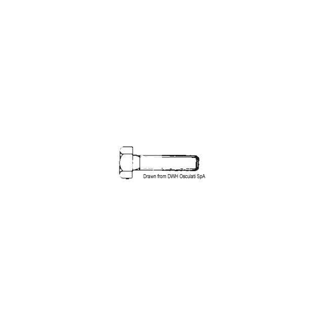 Sechskantschraube m.Gewinde 6x50 AISI 304 BULL6X50